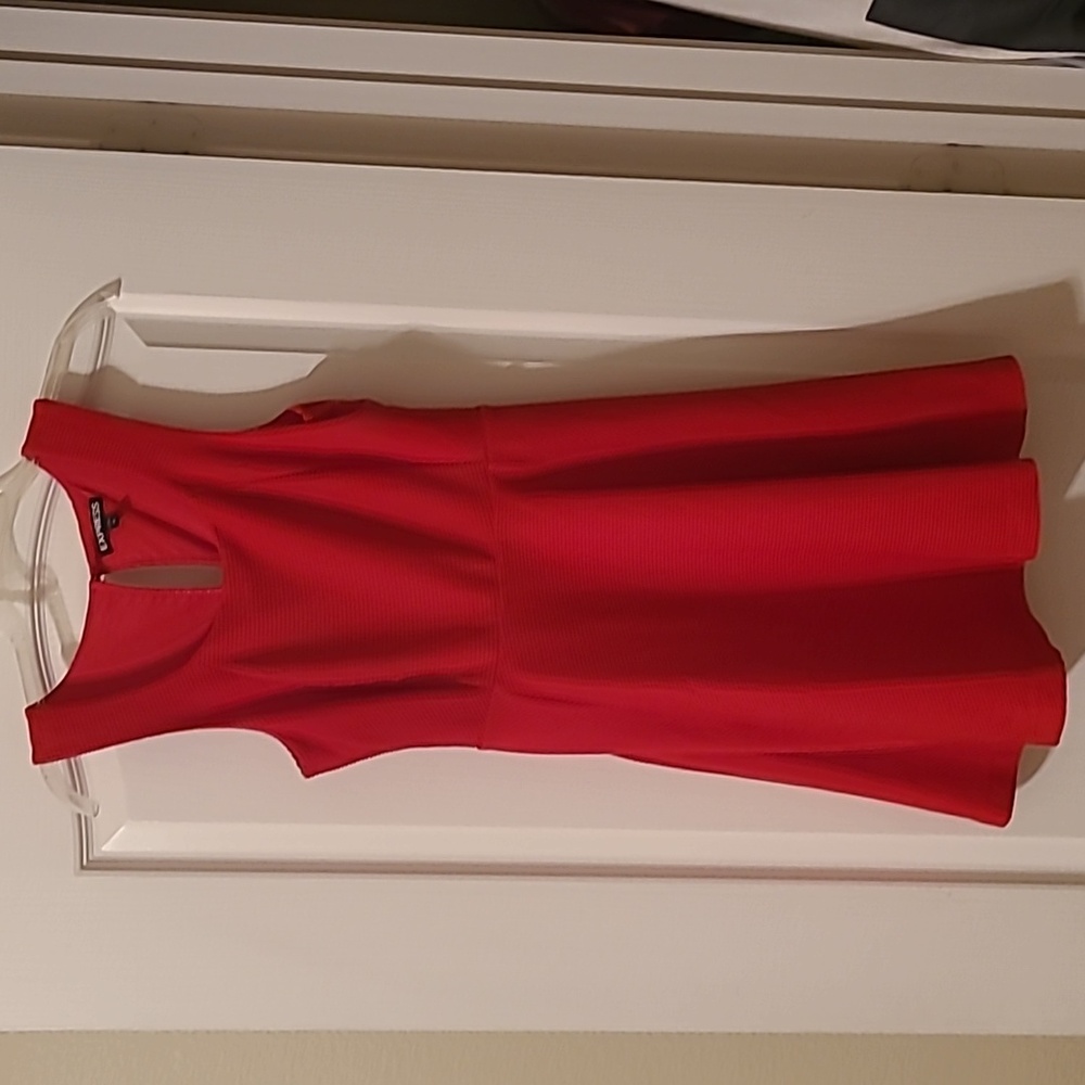 Express Dress Fit & Flare Mini Woman Sz XS LIKE NEW